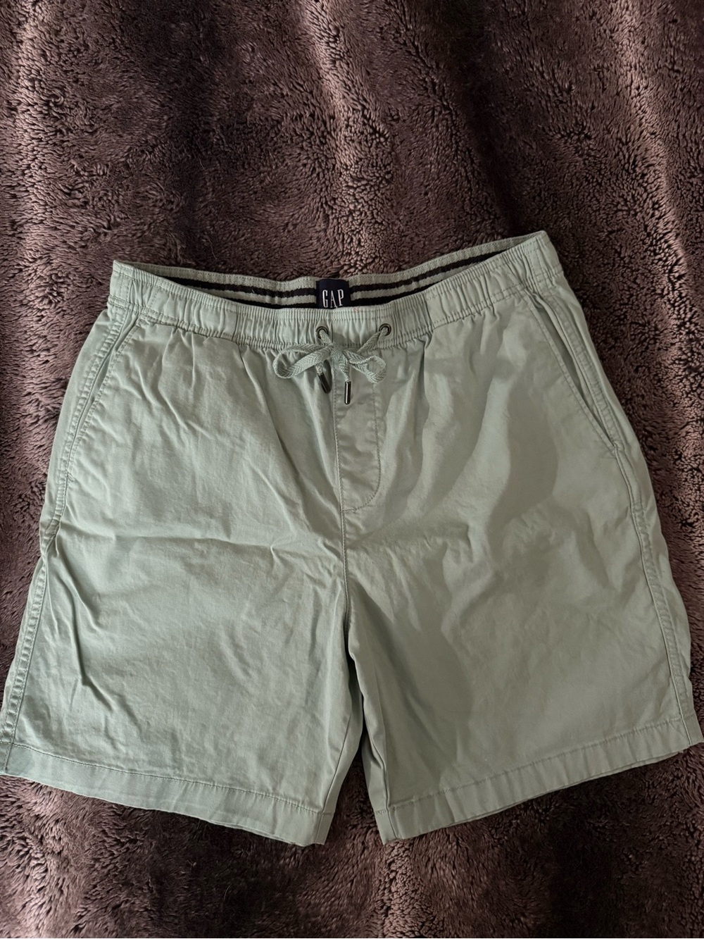 GAP Men's Light Sage Green Hybrid Shorts